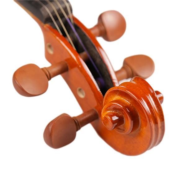 ویلن